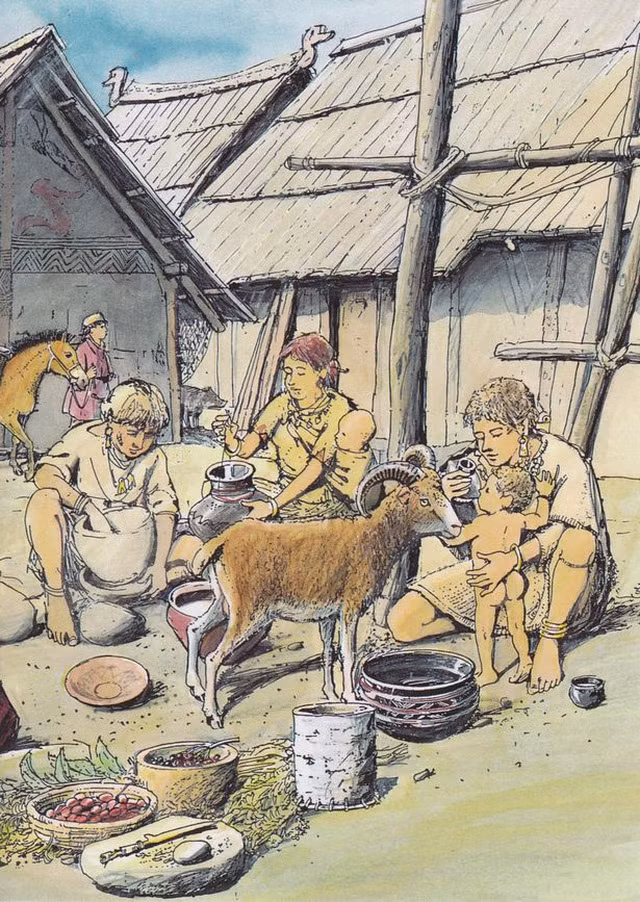 Phát hiện bình sữa cổ cho em bé đã có từ cách đây 3000 năm - 3