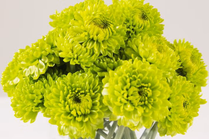 h3