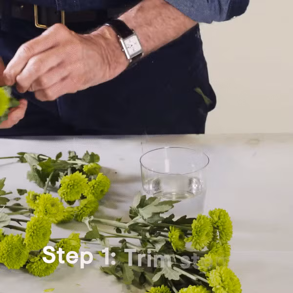 h1