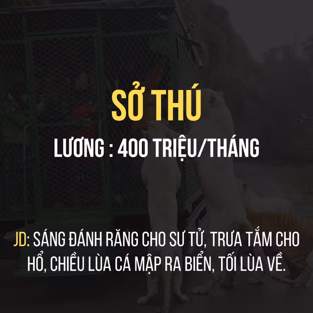 Hồn vía lên mây với ảnh chế về việc nhàn lương cao - Ảnh 4. Hồn vía lên mây với ảnh chế về việc nhàn lương cao - Ảnh 4.