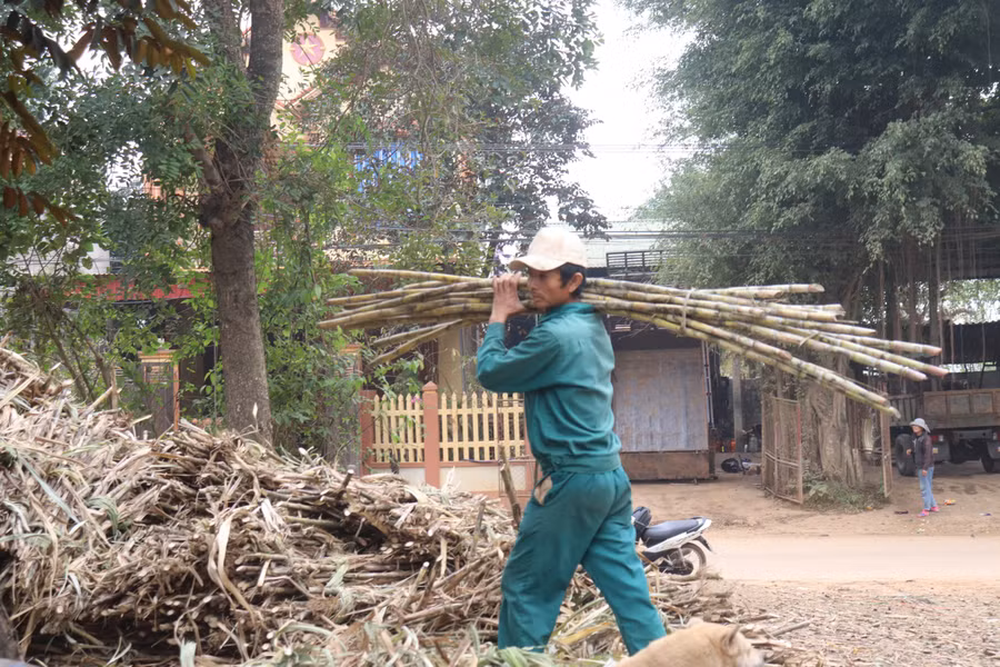 Cứ mỗi dịp Tết đến, làng nghề làm mật mía ở đây lại tất bật làm xuyên ngày đêm để có đủ sản phẩm cung ứng ra thị trường.