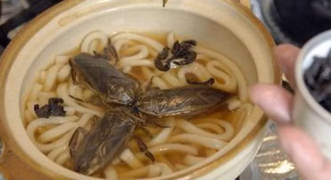 Chủ nhà hàng trả lời “bá đạo” khi khách tố có gián trong đồ ăn