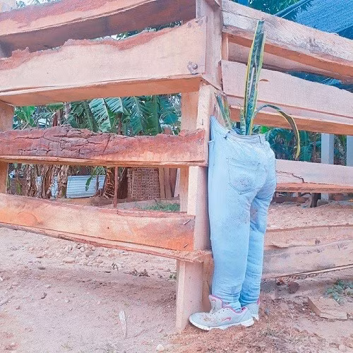 Sáng kiến bá đạo. Sáng kiến bá đạo.