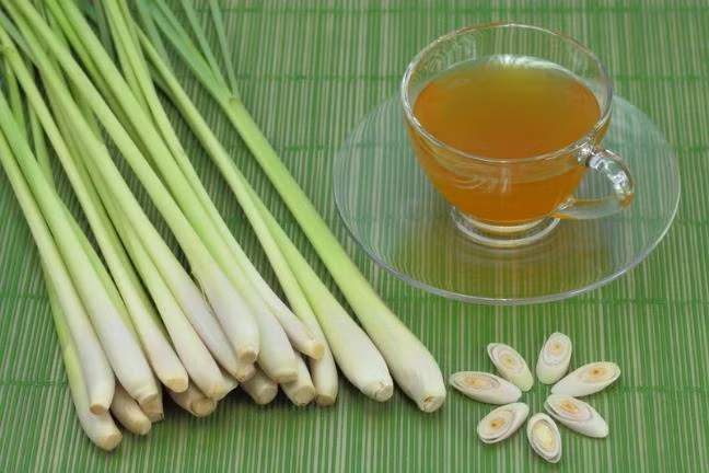 9 cong dung chua benh bat ngo tu 