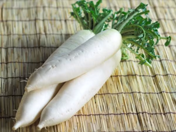Người đàn ông suýt chết vì ăn bầu đắng: những thực phẩm ẩn chứa độc tố ít người biết ảnh 3