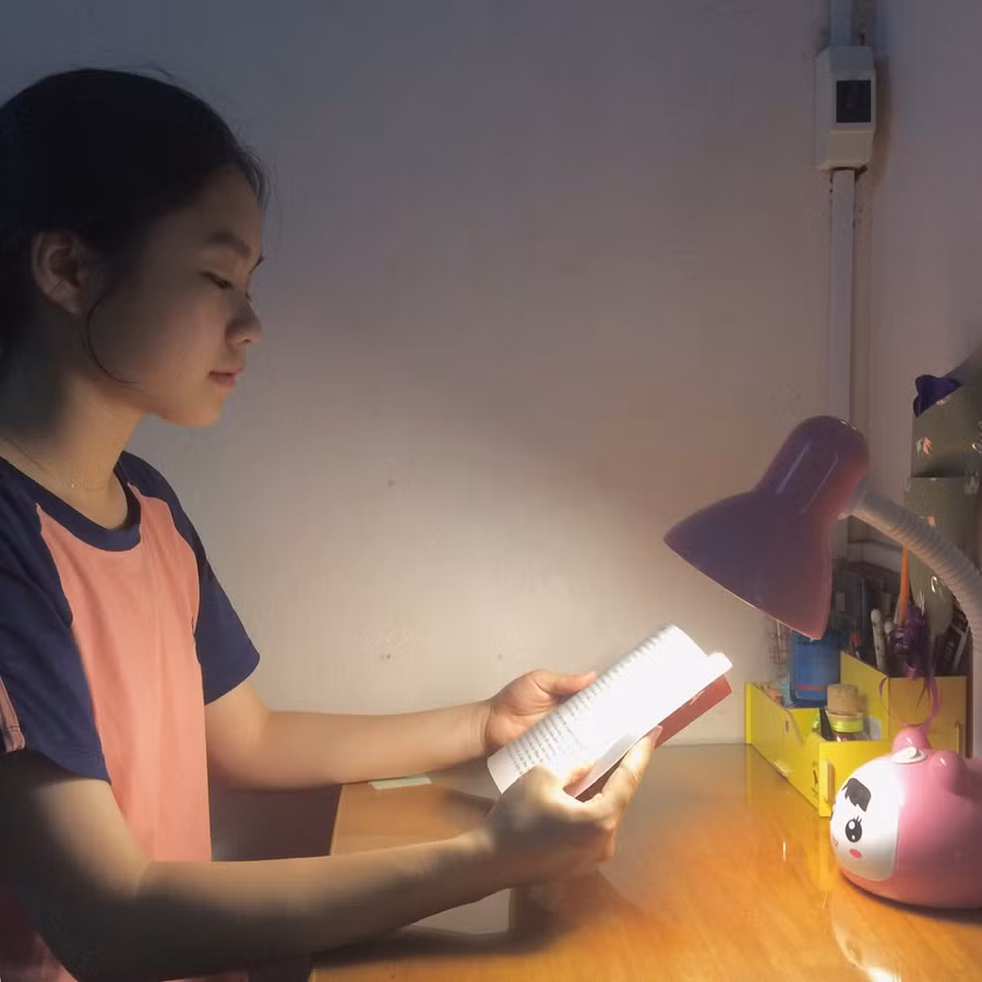 Tuy phải thức đêm học tập, song Minh Ngọc luôn có gia đình và người thân động viên, hỗ trợ.