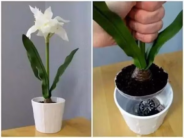 Trăm phương ngàn kế giấu quỹ đen đầy sáng tạo và hài hước của các ông chồng - Ảnh 4.
