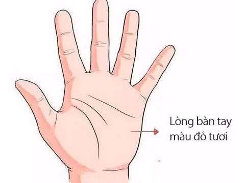 Phụ nữ sở hữu những tướng tay này xác định tuyệt sắc giai nhân, cả đời phú quý song toàn, cuộc sống luôn gặp được nhiều may mắn-2