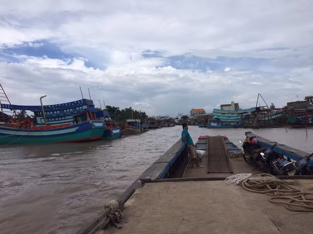 Ảnh minh họa.