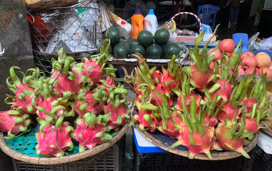 Thanh long ruột đỏ có giá từ 50.000-70.000 đồng/kg. Nhiều tiểu thương dự đoán, cận Tết Nguyên đán giá có thể lên tới 80.000-100.000 đồng/kg. (Ảnh: afamily.vn).