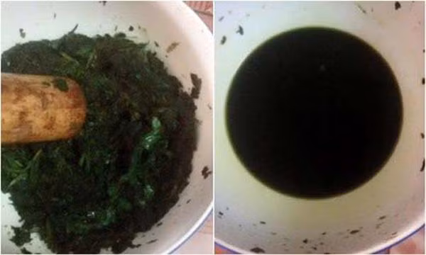 chay ra cho mua rau diep ca ve lam theo cach nay, mun cung dau den dau cung het sach - 3