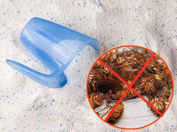 6 cách đuổi gián triệt để đơn giản bằng nguyên liệu tự nhiên, không dùng hóa chất - Hình 4