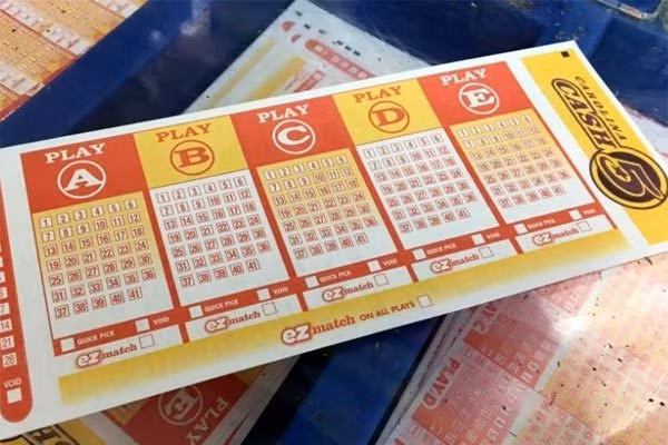 Theo hãng thông tấn UPI, Manley sau đó đã bỏ tấm vé số tự chọn vào túi áo và quên bẵng nó cho tới tận hai ngày sau thời điểm rút thăm, công bố giải thưởng hôm 29/7.