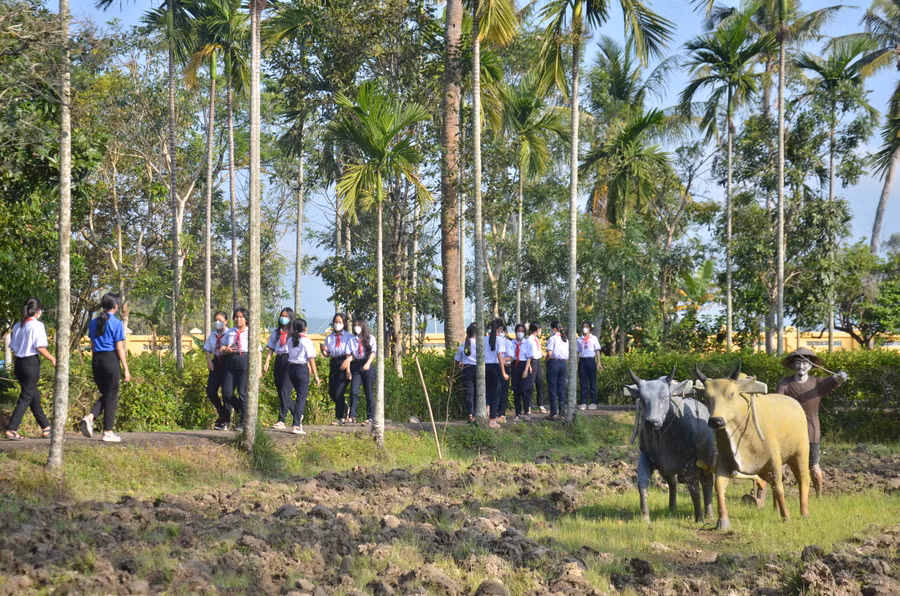 Ngày 16/3/1968, chỉ trong 4 giờ đồng hồ, lính Mỹ đã xả súng vào những người nông dân, vào làng đốt nhà và tiếp tục bắn giết người già, đàn bà, trẻ con, khiến 504 thường dân thiệt mạng.