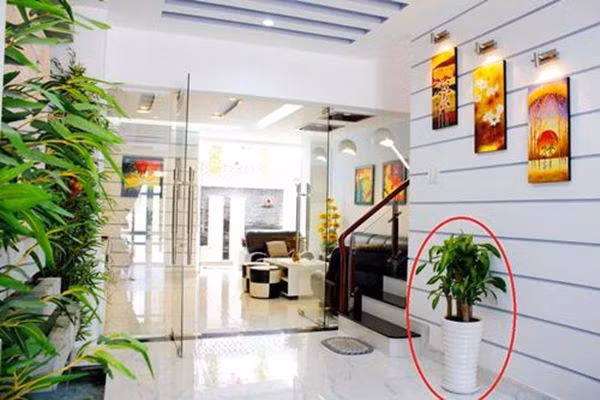 8 bí quyết phong thủy khiến gia đình bạn ngày càng giàu có, thịnh vượng