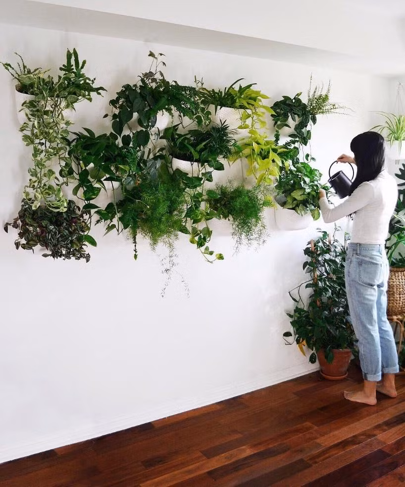Sử dụng những giỏ cây cảnh để tô điểm cho bức tường đơn điệu
