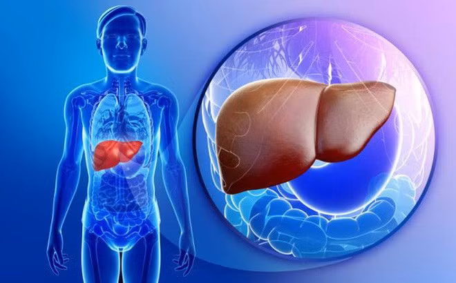 Chuyên gia ngành gan mật chia sẻ bí quyết thải độc cứu lá gan ngày Tết-1