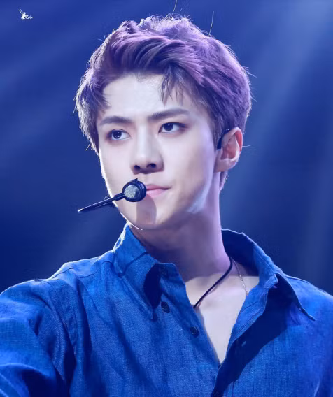 Mặt mộc đẹp như tượng tạc của các nam thần nhóm EXO ảnh 12 Choáng với mặt mộc đẹp như tượng tạc của các nam thần nhóm EXO