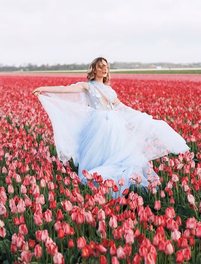 Chụp ảnh cưới giữa cánh đồng hoa tulip ảnh 5 Chụp ảnh cưới giữa cánh đồng hoa tulip