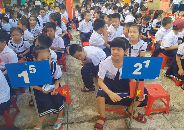 Học sinh tiểu học ở TP Nha Trang không ngừng gia tăng trong nhiều năm qua