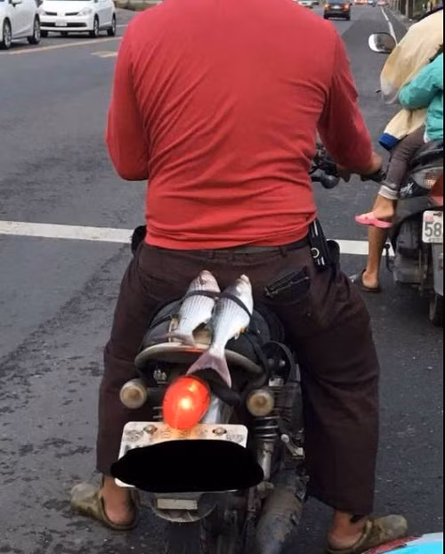 Một buổi đi câu bội thu.