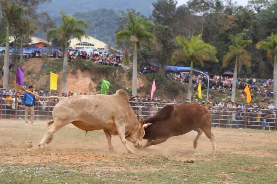 Màn thi đua quyết liệt...