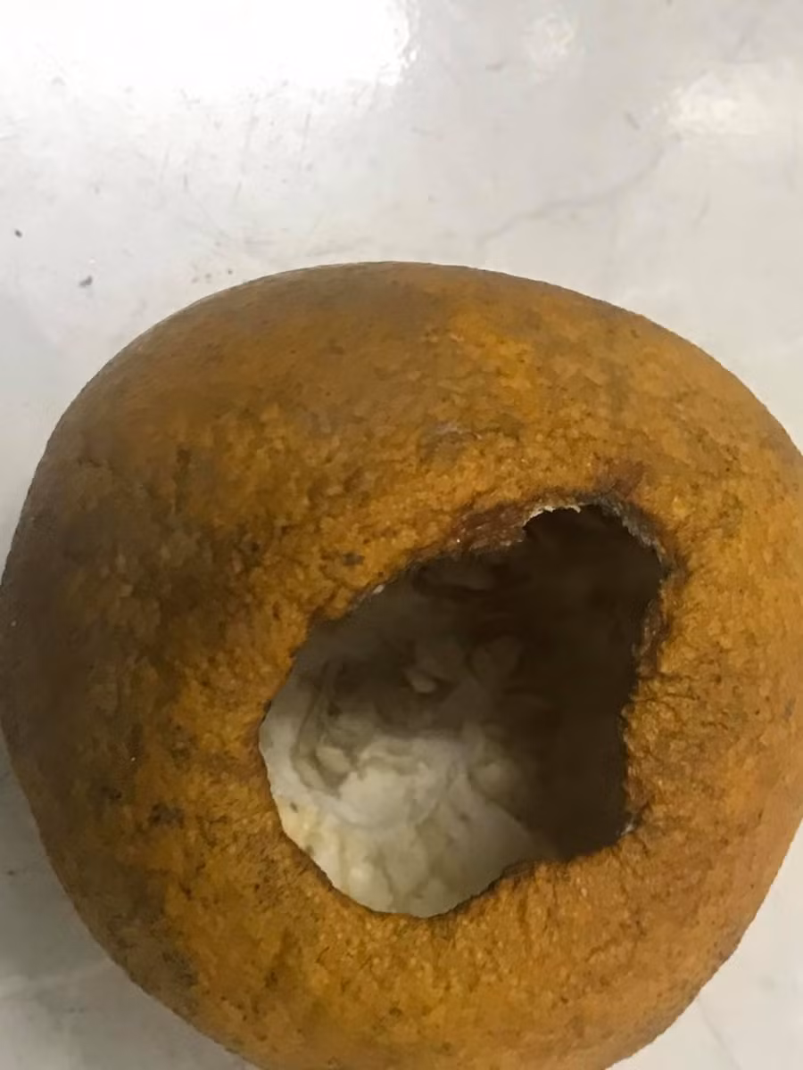 Bác Tý ra đi khăn gói kinh quá.