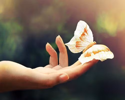  Khi ta chọn cách nhìn mọi thứ đơn giản, cuộc sống bỗng dưng nhẹ nhàng hơn biết bao nhiêu. Ảnh minh họa 