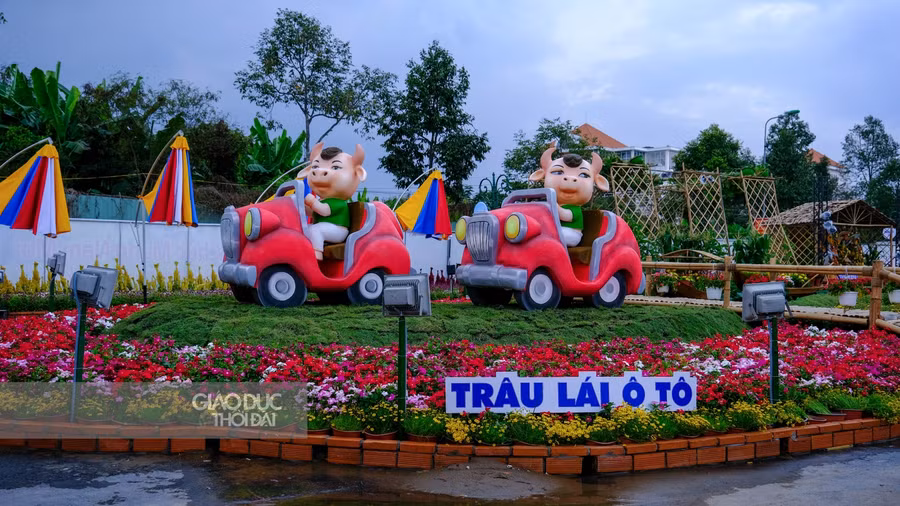 Cần Thơ gấp rút hoàn thiện đường hoa chào đón du khách ảnh 8