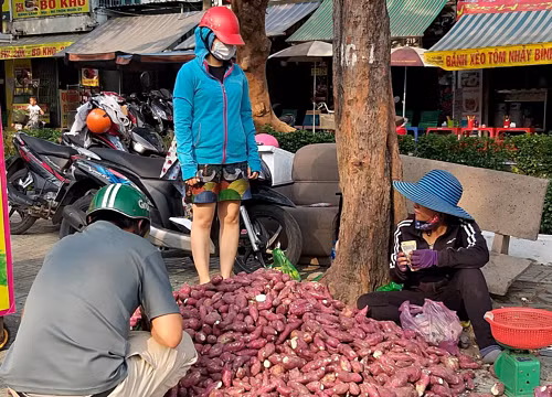 Ảnh minh họa