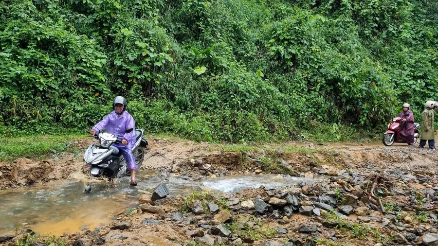 Mưa lớn khiến đường đến trường của học sinh Quảng Ngãi bị chia cắt ảnh 2