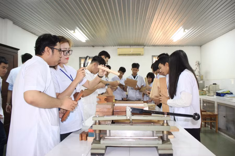 Sinh viên ngành Công nghệ chế biến lâm sản Trường ĐH Nông Lâm TP.HCM trong giờ thực hành