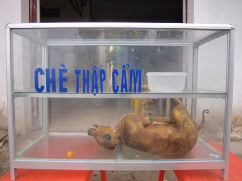 Xem xong những hình ảnh này chắc anh chị em "đau ruột" mà nghĩ ảnh 3 Chè