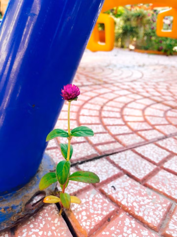 Không được chọn nơi mình sinh ra.