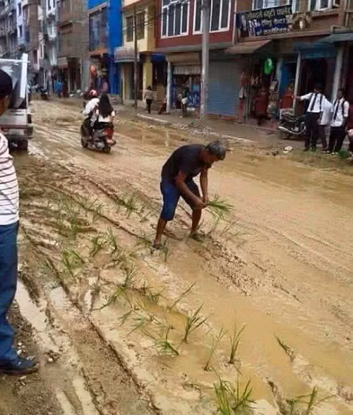 Tác dụng của đường bùn lầy.
