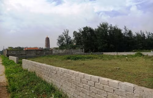 Một trong những diện tích đất ở xã Quảng Thái, huyện Quảng Xương được ông Trần Văn Công giao trái quy định. Một trong những diện tích đất ở xã Quảng Thái, huyện Quảng Xương được ông Trần Văn Công giao trái quy định.