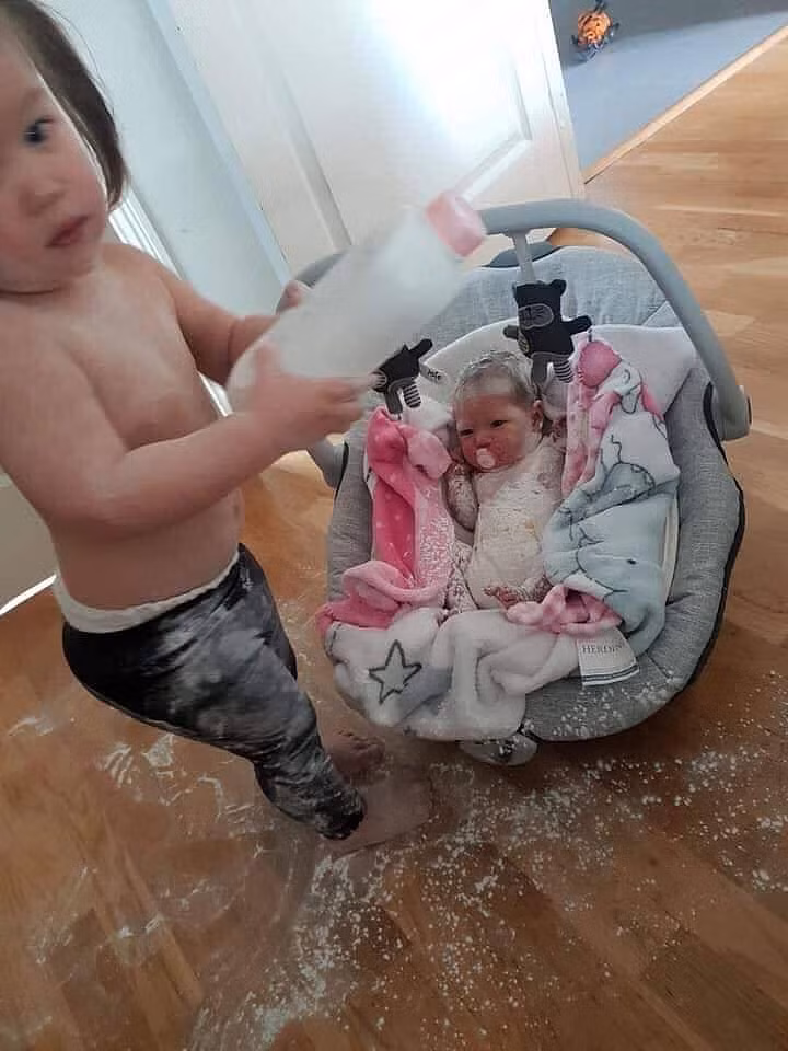 Nhìn hình ảnh mà mọi người vừa thương vừa buồn cười.