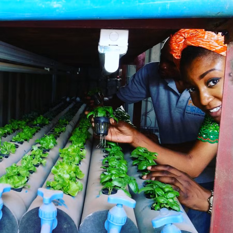 Hình ảnh được đăng tải trên trang Facebook của Fresh Direct Nigeria.