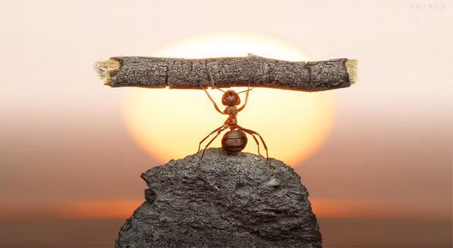 7 bí quyết để kiểm soát những suy nghĩ tiêu cực ảnh 1