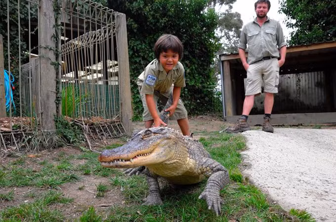 Charlie đặc biệt yêu thích công việc của một người trông thú và thần tượng Steve Irwin. Ảnh: Barcroft TV.