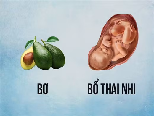 ‘An gi bo nay’ voi 13 loai thuc pham nay
