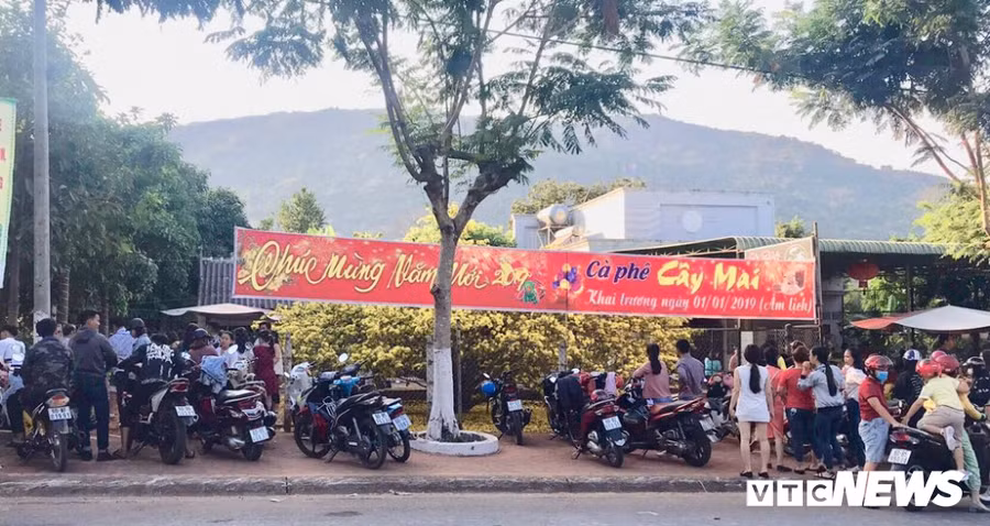 "Cụ mai" 55 tuổi, giá hơn 2 tỷ đồng thu hút hàng nghìn người đến chụp ảnh ngày đầu năm ảnh 1