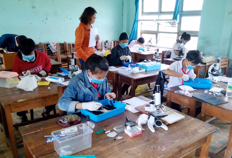 Các tiết thực hành thông qua hướng dẫn của giáo viên giúp học sinh phát huy đầy đủ khả năng trong môn học Các tiết thực hành thông qua hướng dẫn của giáo viên giúp học sinh phát huy đầy đủ khả năng trong môn học