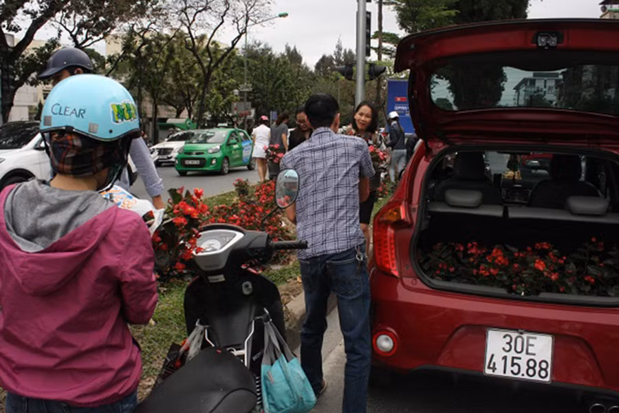 Những chậu hoa nhỏ dùng để trang trí trên dải phân cách đường Kim Mã bị nhiều người dân tới “hôi”