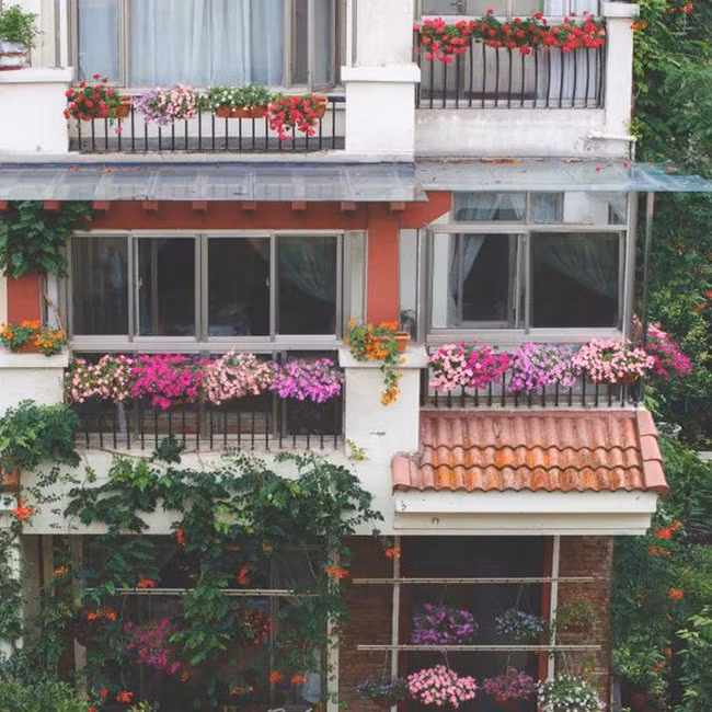 Khu vườn 300m² với hàng trăm loài hoa đua nhau khoe sắc của cô gái 9x xinh xắn - Ảnh 8. Khu vườn 300m² với hàng trăm loài hoa đua nhau khoe sắc của cô gái 9x xinh xắn - Ảnh 8.