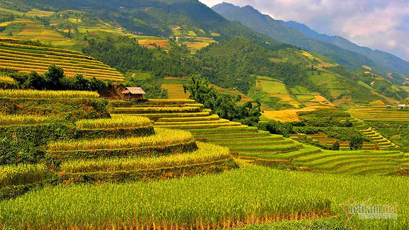 Cảnh sắc đẹp nhất thế giới mỗi năm 1 lần chỉ có ở Việt Nam