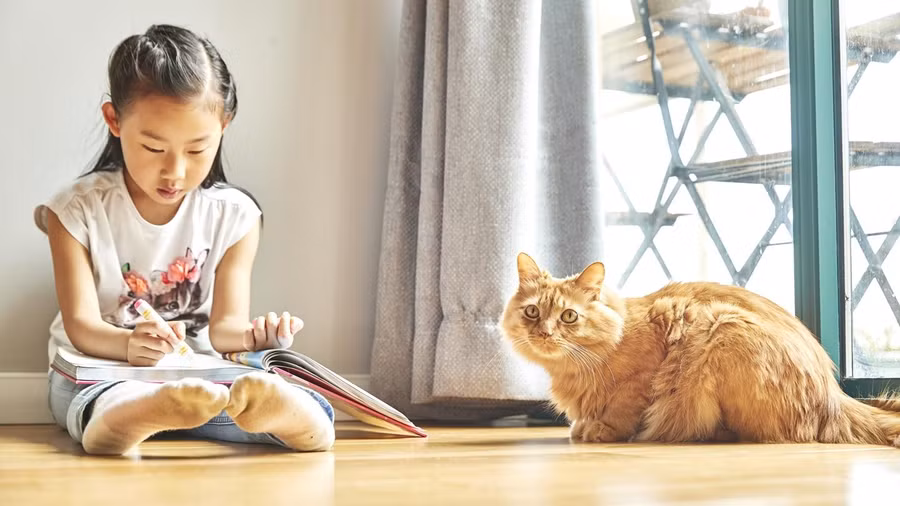 Việc nuôi thú cưng ở nhà mang lại một số lợi ích về sức khỏe thể chất cho con bạn. (Ảnh: ITN).