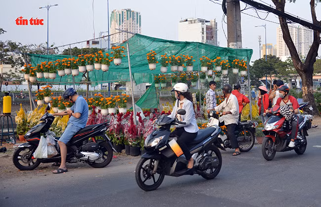 Nhộn nhịp chợ hoa Tết ‘trên bến dưới thuyền’ đầy sắc màu ở TP Hồ Chí Minh ảnh 12 Chú thích ảnh
