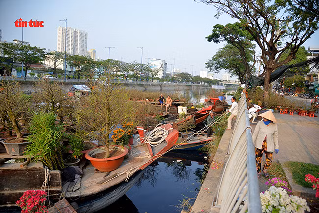 Nhộn nhịp chợ hoa Tết ‘trên bến dưới thuyền’ đầy sắc màu ở TP Hồ Chí Minh ảnh 5 Chú thích ảnh