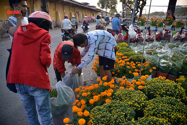 Nhộn nhịp chợ hoa Tết ‘trên bến dưới thuyền’ đầy sắc màu ở TP Hồ Chí Minh ảnh 9 Chú thích ảnh